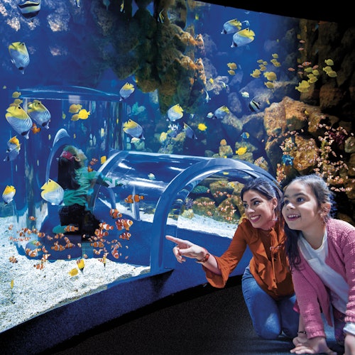 Poema del Mar - Aquarium Gran Canaria: Skip The Line Ticket