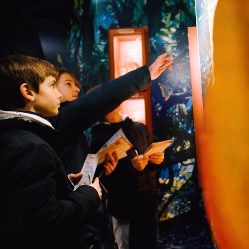 Choco-Story Paris + Musée Grévin + Aquarium de Paris