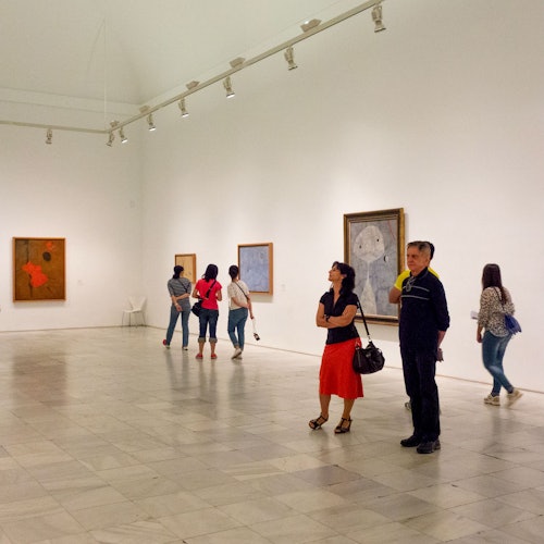 Museo Reina Sofía: Biglietto salta-coda + Tour guidato