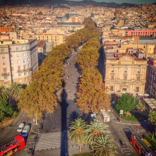 Cityscape view of a tree-lined boulevard with people walking, surrounded by buildings and red tour buses, and mountains in the background.