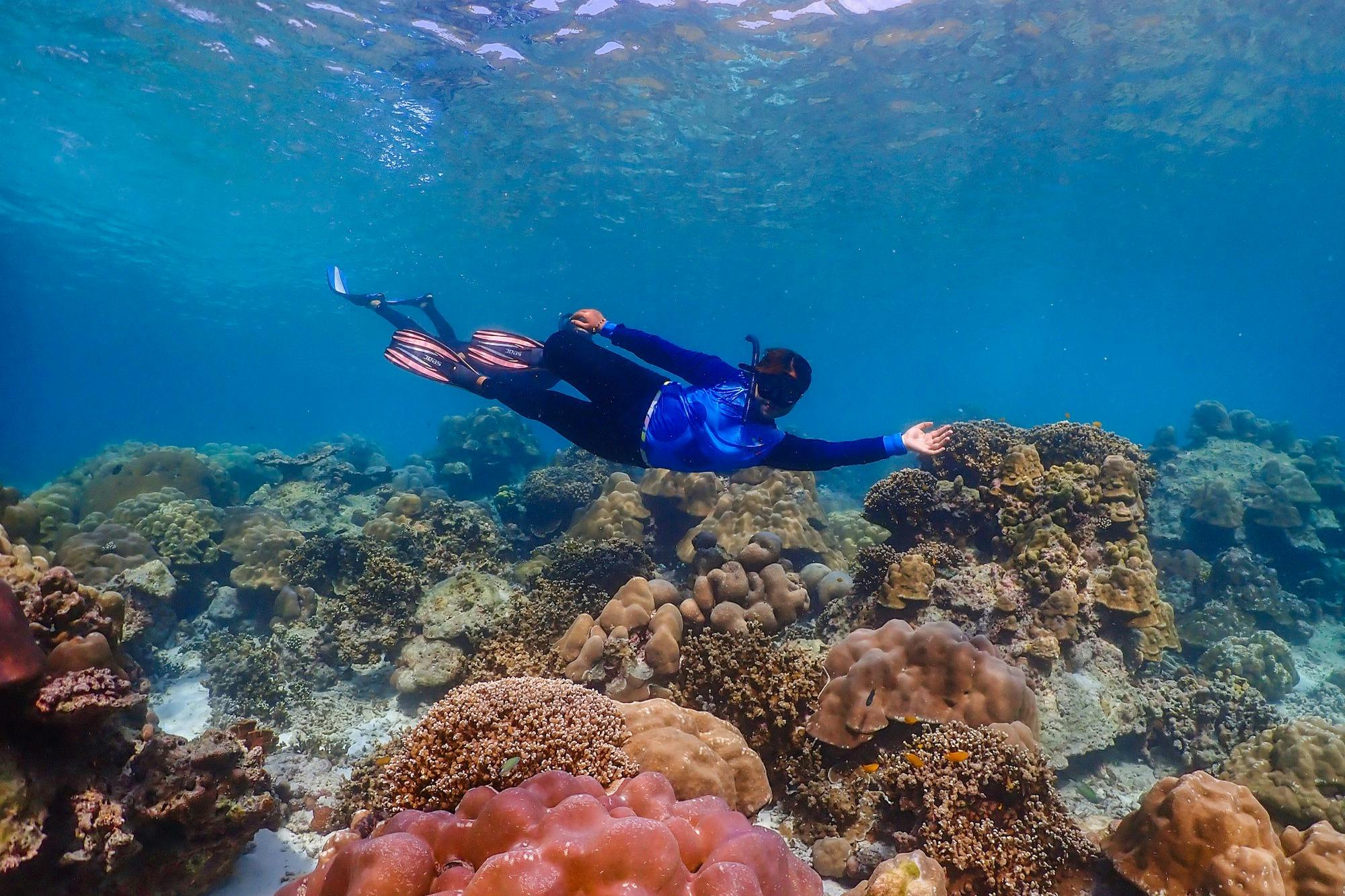 Snorkel and discover an underwater paradise