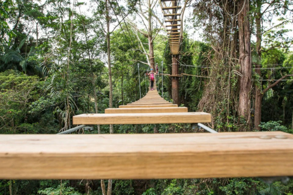 TreeTop Adventure Challenge on the Sunshine Coast