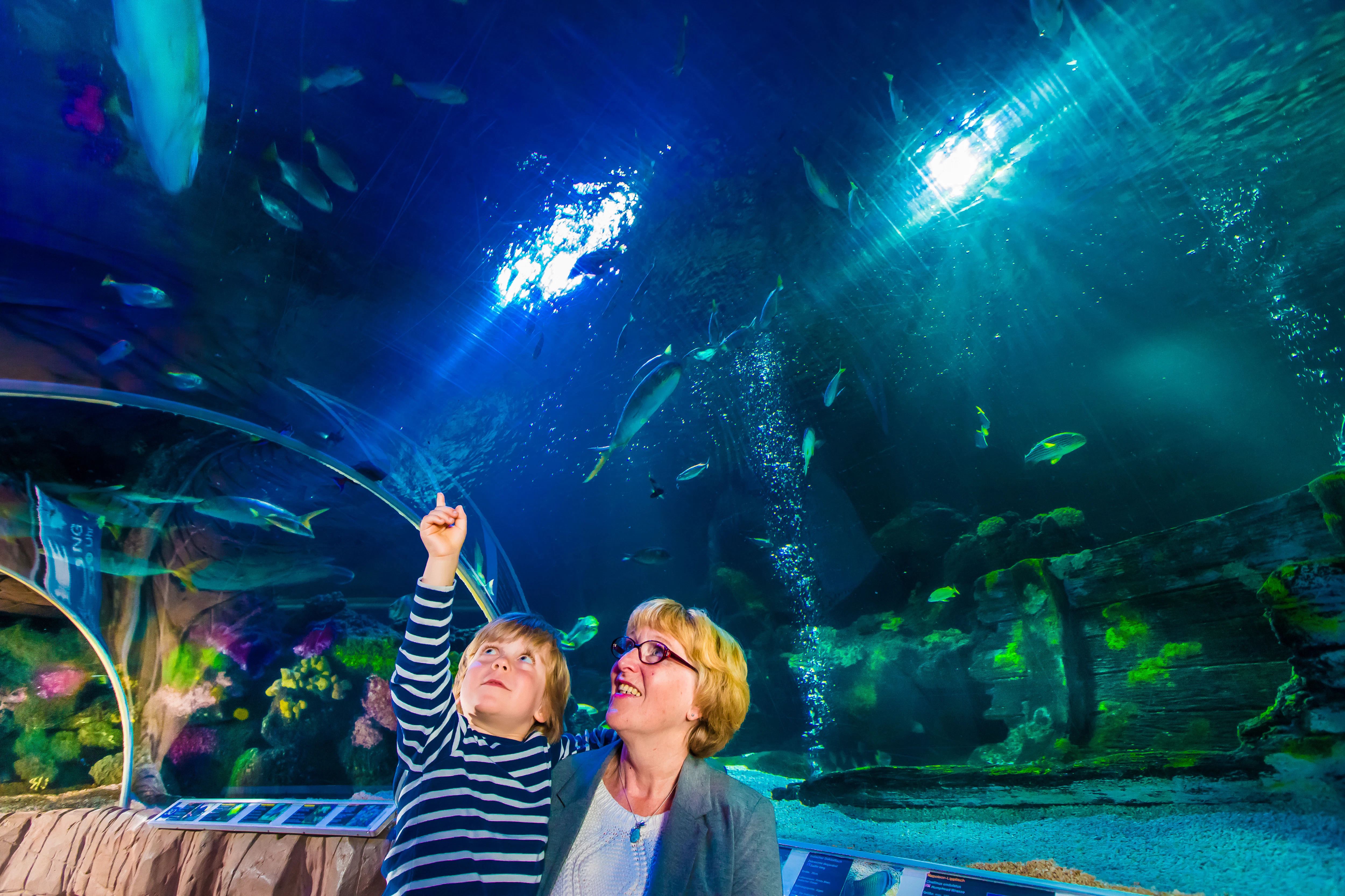 sea life blankenberge tickets