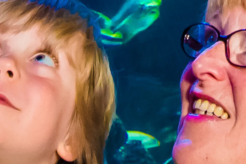 A child and an adult look up, with the child pointing, in an underwater tunnel surrounded by fish and aquatic life.
