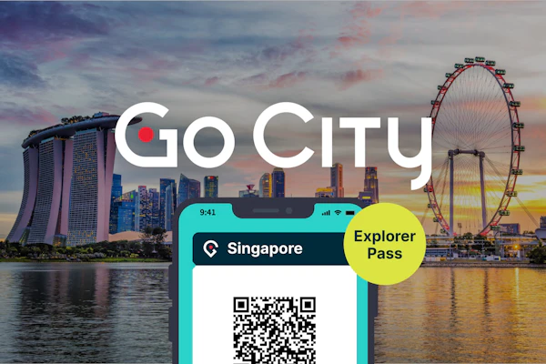 Singapore Explorer pas