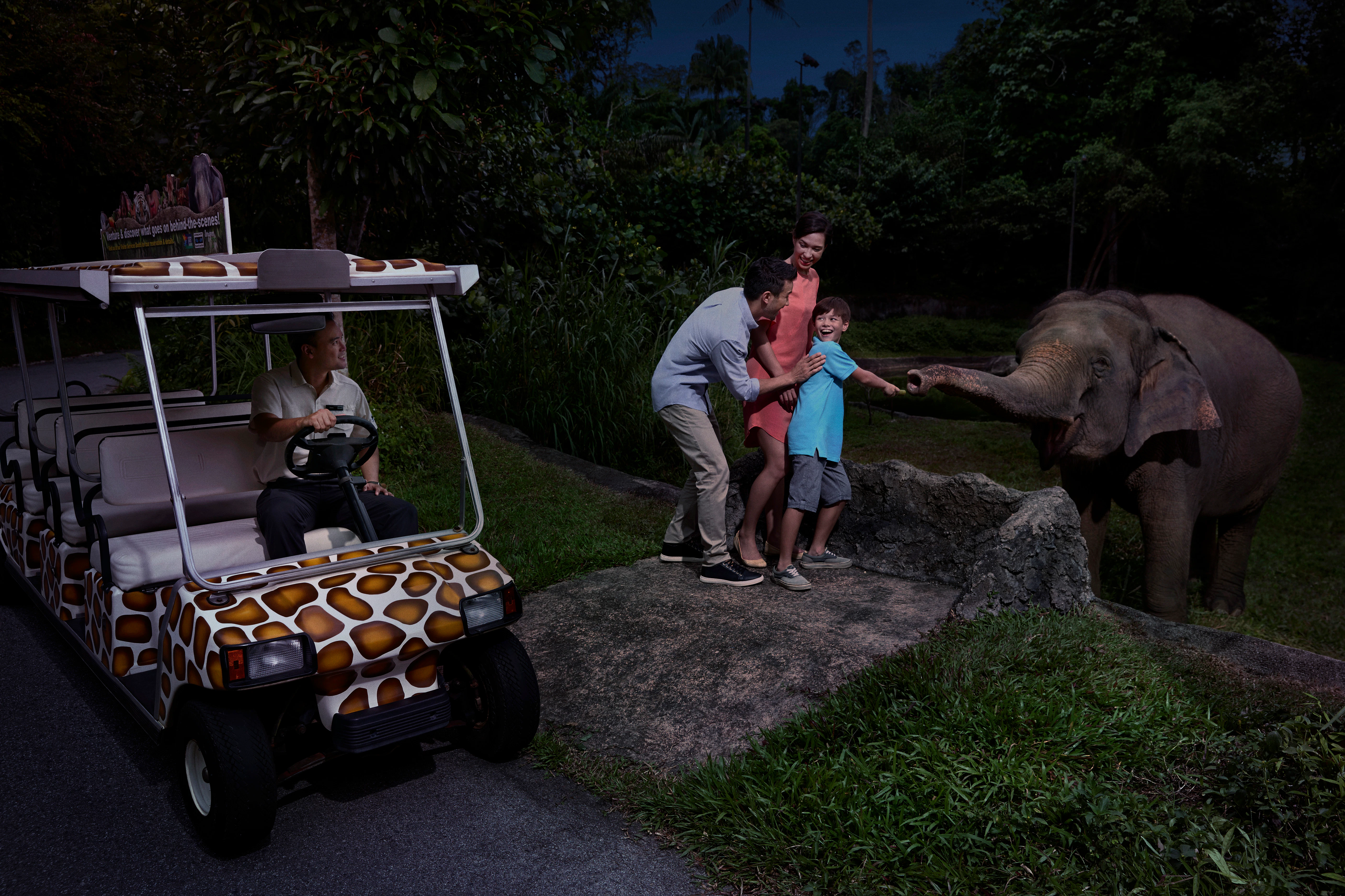 Singapore Night Safari: Entry Ticket + Optional Transfer