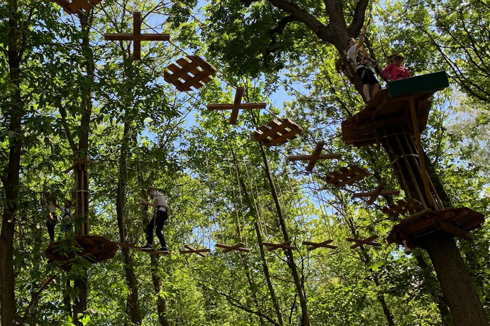 People navigating a treetop rope course among green trees on a sunny day.