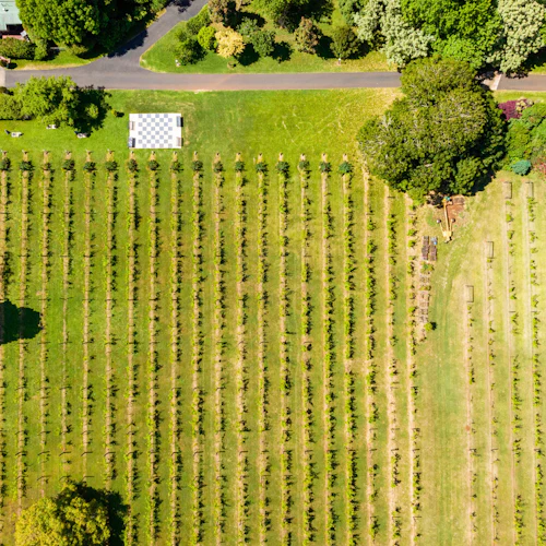 Gold Coast: Mount Tamborine Winery Tour with Gourmet Lunch - Photo 3
