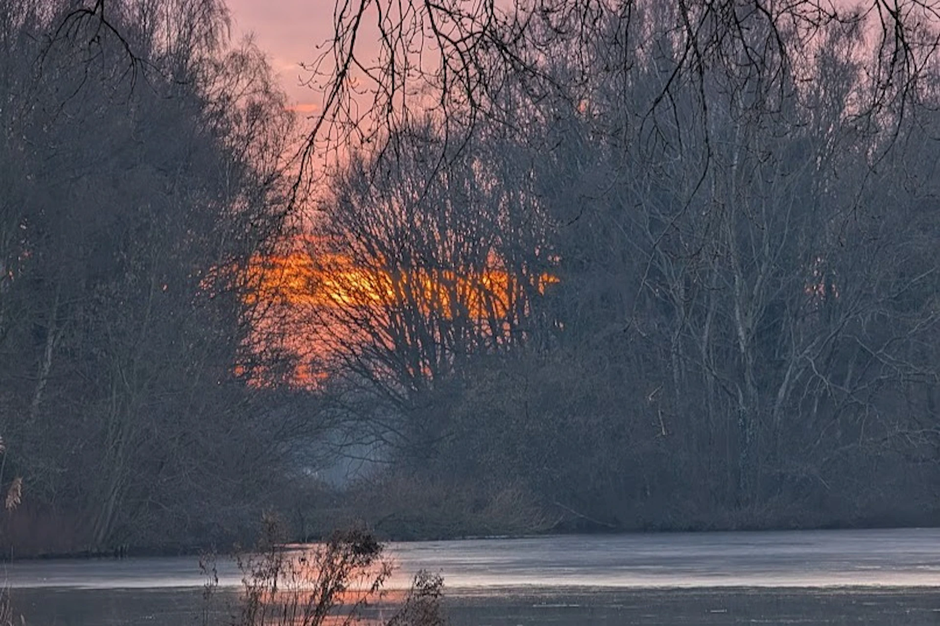 Sunset through bare trees over a calm lake, with branches in the foreground and a serene atmosphere.