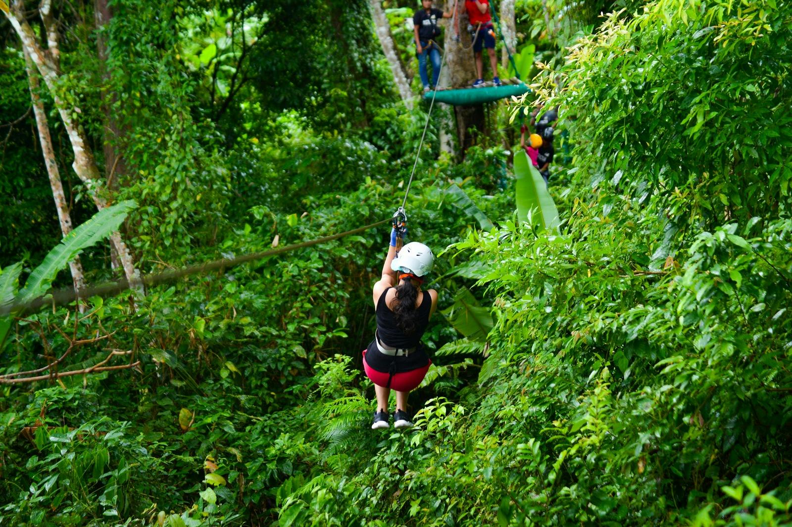 Persona lanzándose en tirolina por una densa selva tropical, con casco y arnés. Otros esperan en una plataforma al fondo.