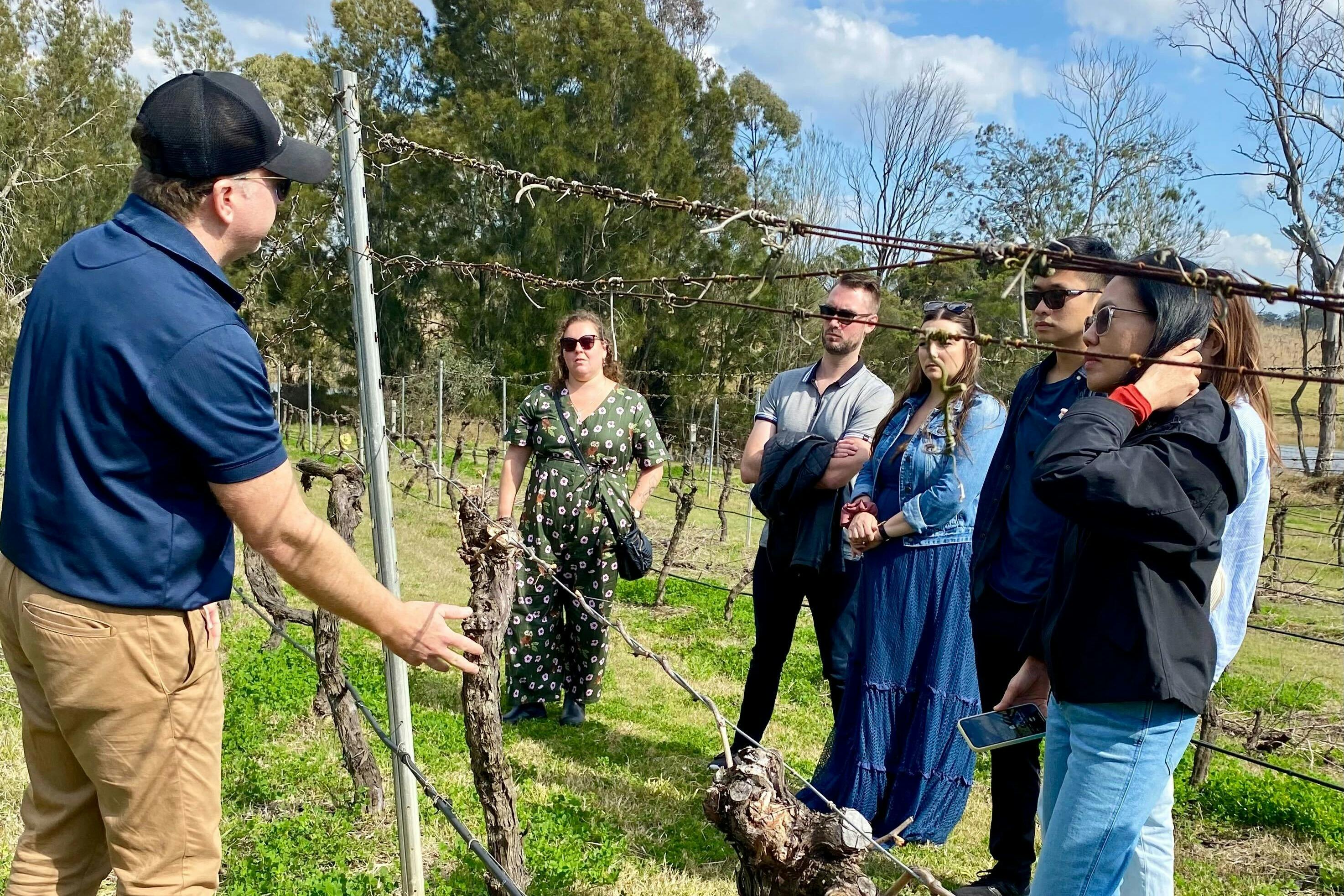 Ο Ντέκλαν θα ξεναγήσει τους επισκέπτες στον αμπελώνα.