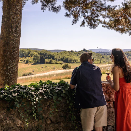 Chianti: Day Trip from Florence + Wine Tour & Tasting - Photo 7