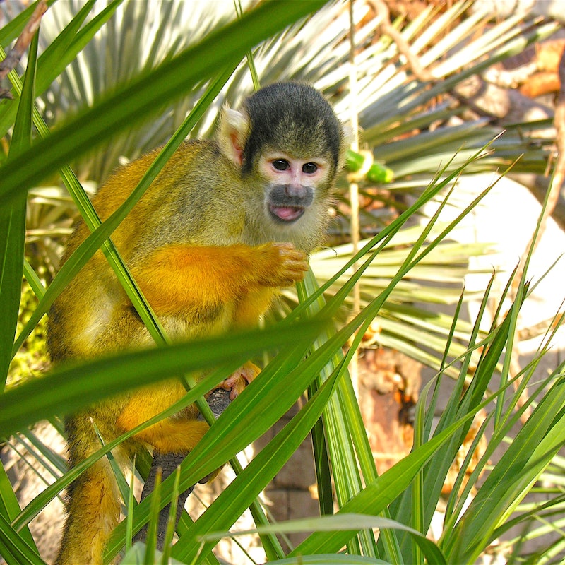 Terra Natura & Aqua Natura Benidorm Combi Entry Ticket