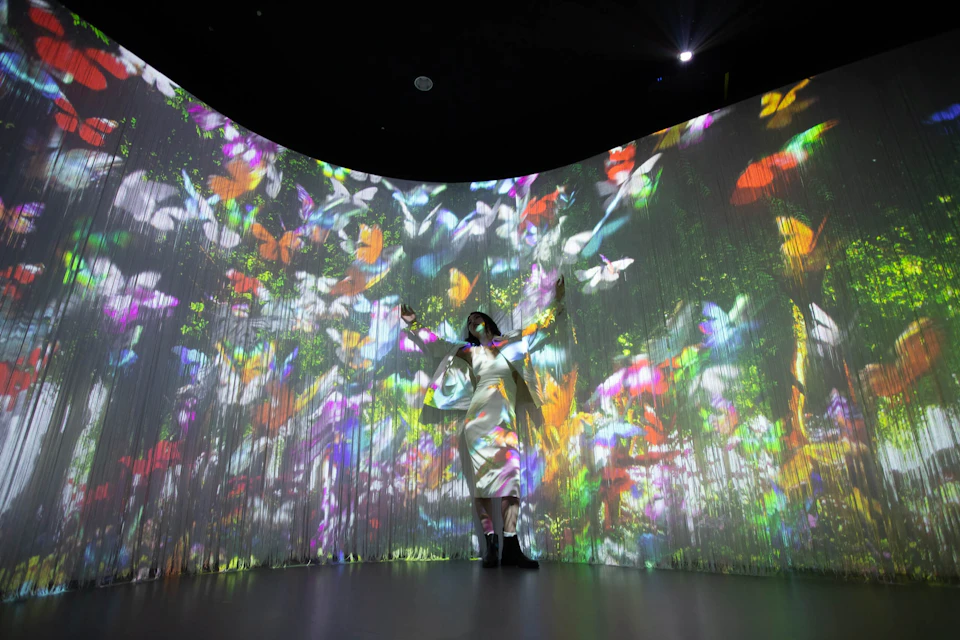 A person in a white outfit stands in front of a curved wall with colorful butterfly projections.