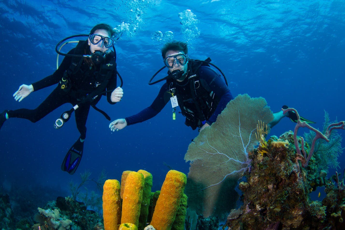 후르가다: 가이드와 함께하는 스쿠버다이빙 체험 + 왕복 교통편 + 점심 식사