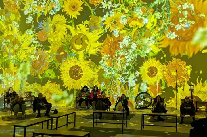 People sit on benches in a room with a large sunflower projection on the walls.