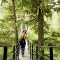Treetrek Adventure Course