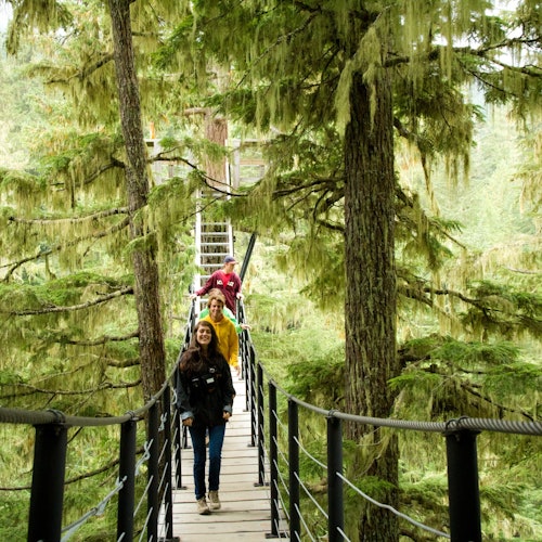 Whistler ZipTrek Ecotours: Aventura TreeTrek