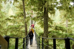 Tours & Sightseeing | Ziptrek Ecotours things to do in One mile lake