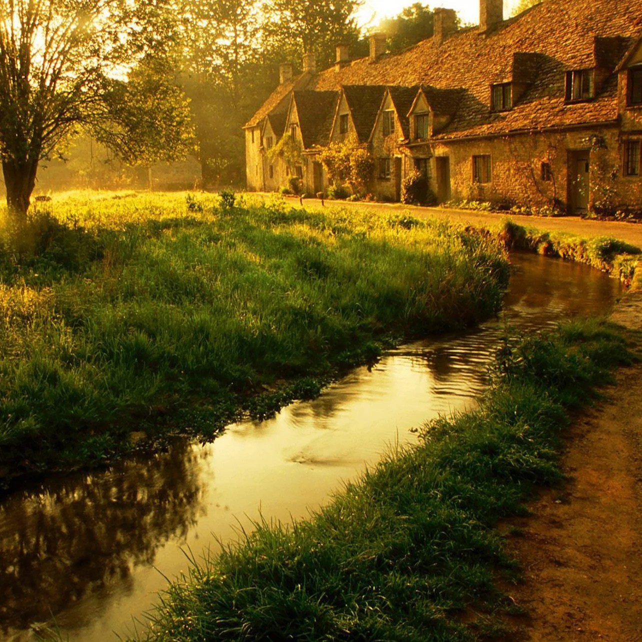 Slider Image