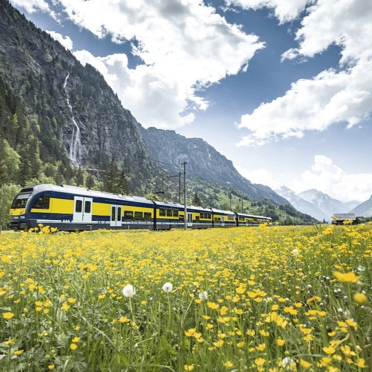 Grindelwald First : Excursion d'une journée depuis Lucerne