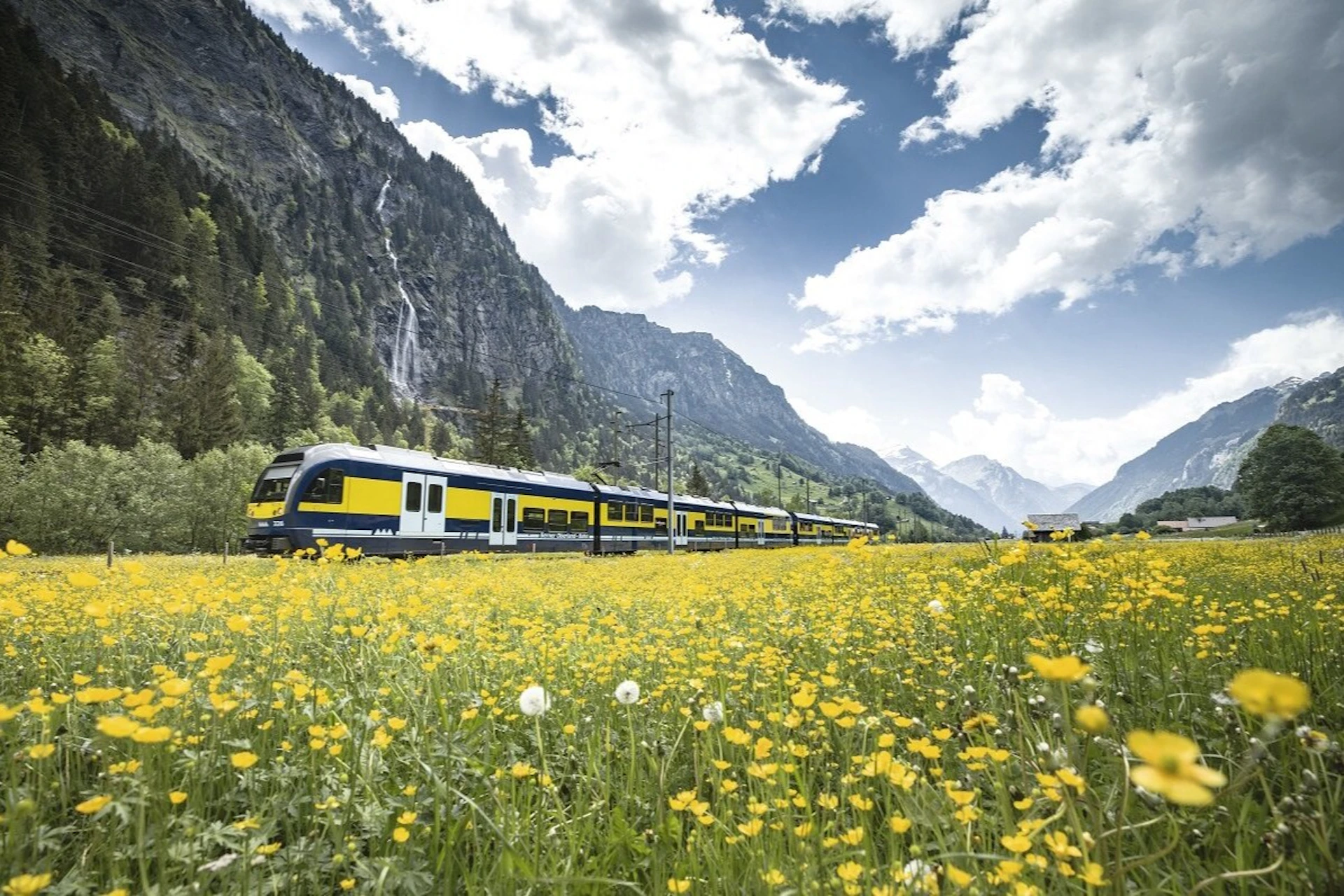 grindelwald