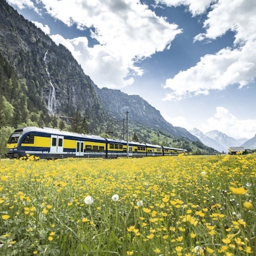Grindelwald primero - Aventura desde Lucerna