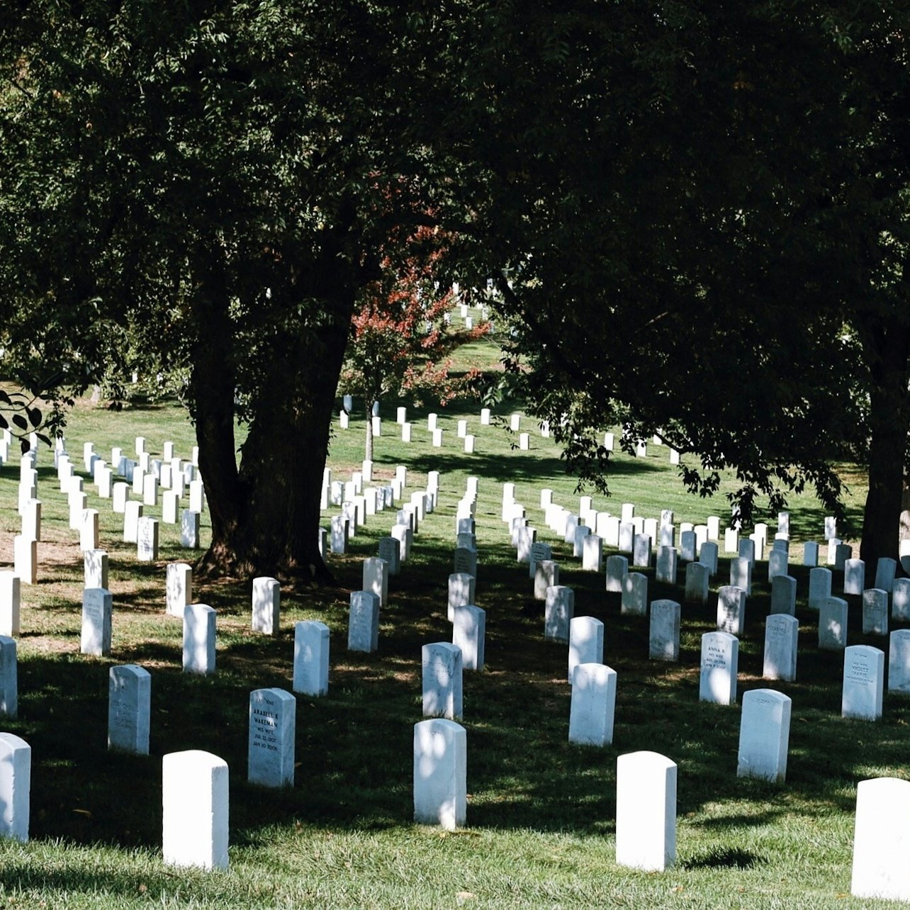Visita guiada al Cementerio de Arlington y al Museo Nacional de Historia Americana del Smithsonian - Alojamientos en Washington D.C.