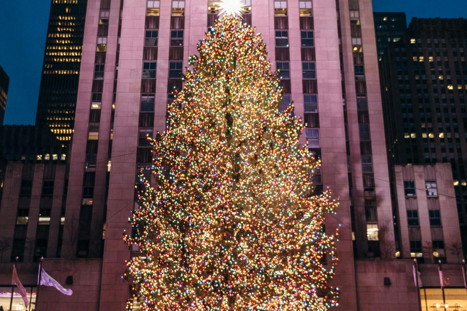 VIP Rock Pass - Holiday Edition