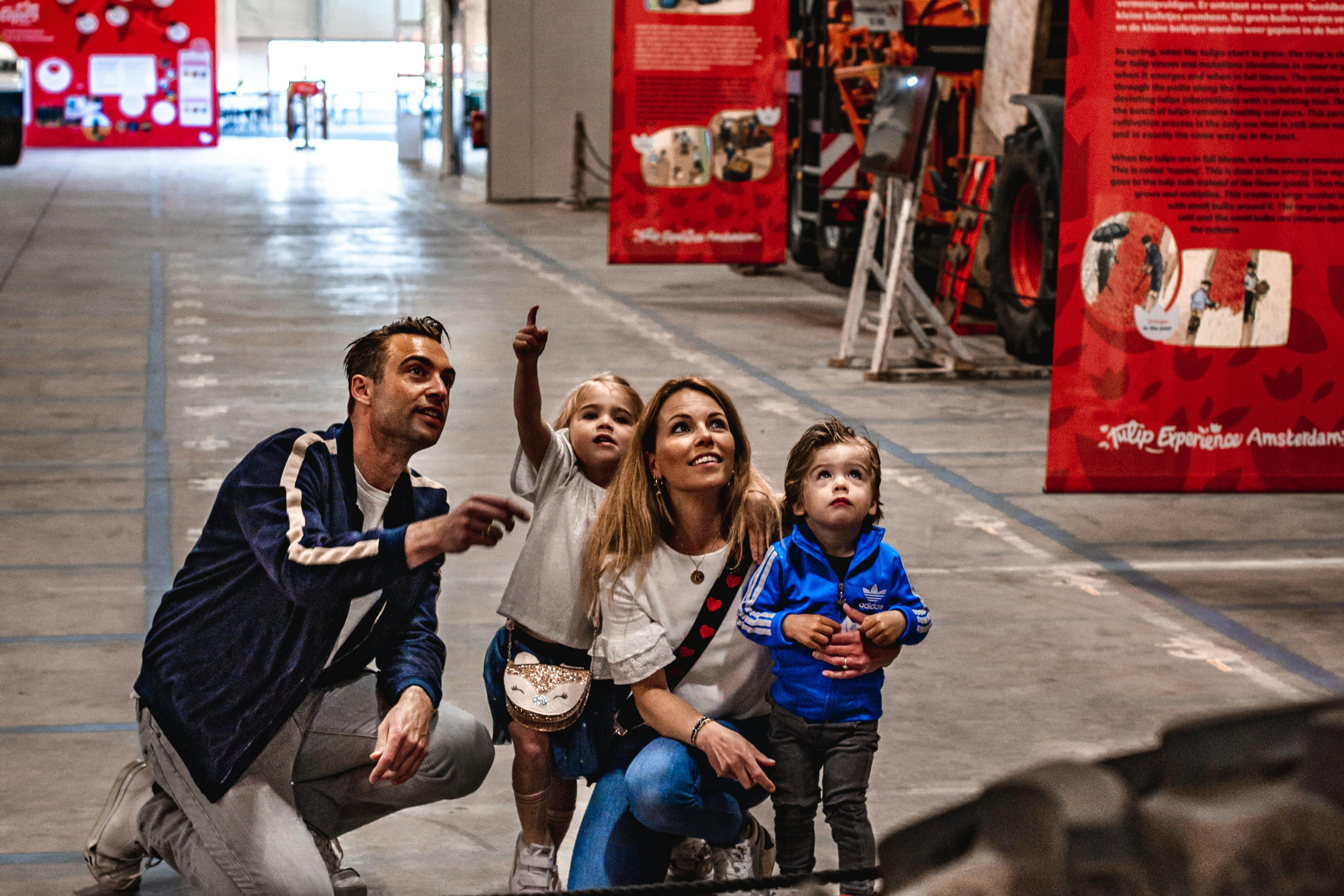 Tulip Experience Amsterdam