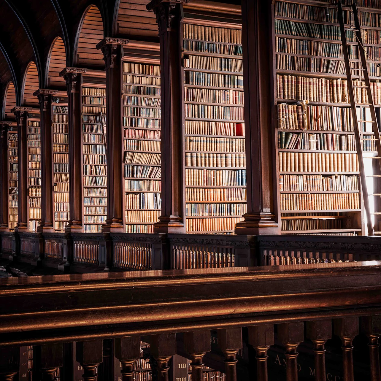 Early Access: Book of Kells & Dublin Castle Tour in Dublin – Tiqets