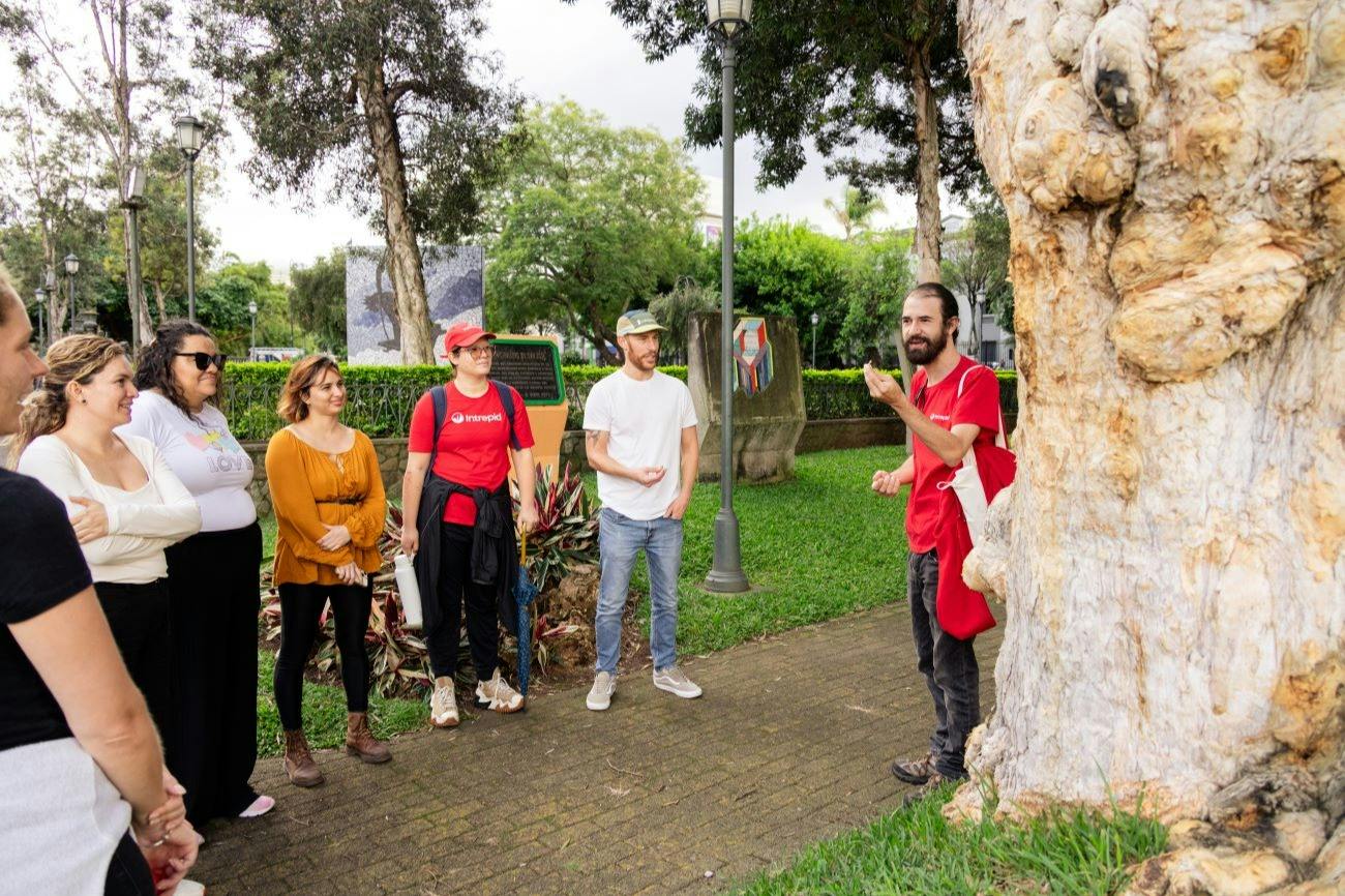 A group of people stands near a large tree in a park setting, engaging in conversation. One person gestures while speaking.