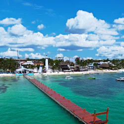 Puerto Morelos Reef: Snorkeling Adventure with Beachside Lunch 5