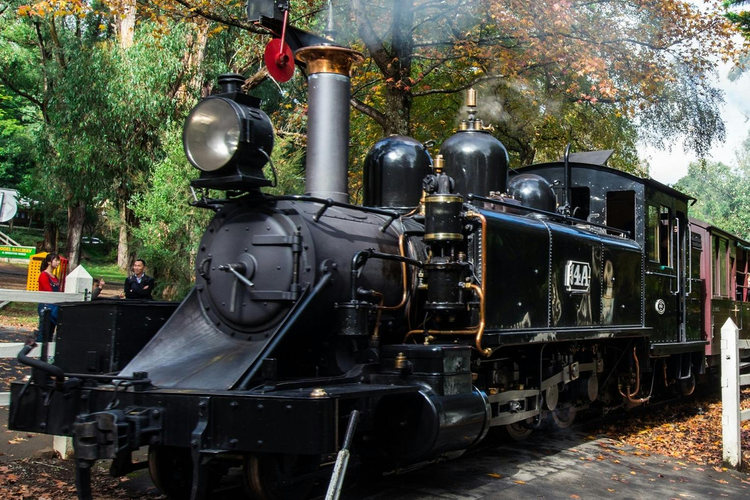 Puffing Billy Steam Train