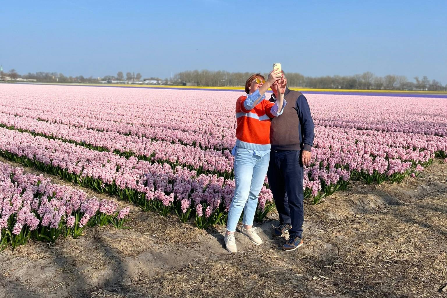 Nádherně voňavá pole hyacintu v březnu!