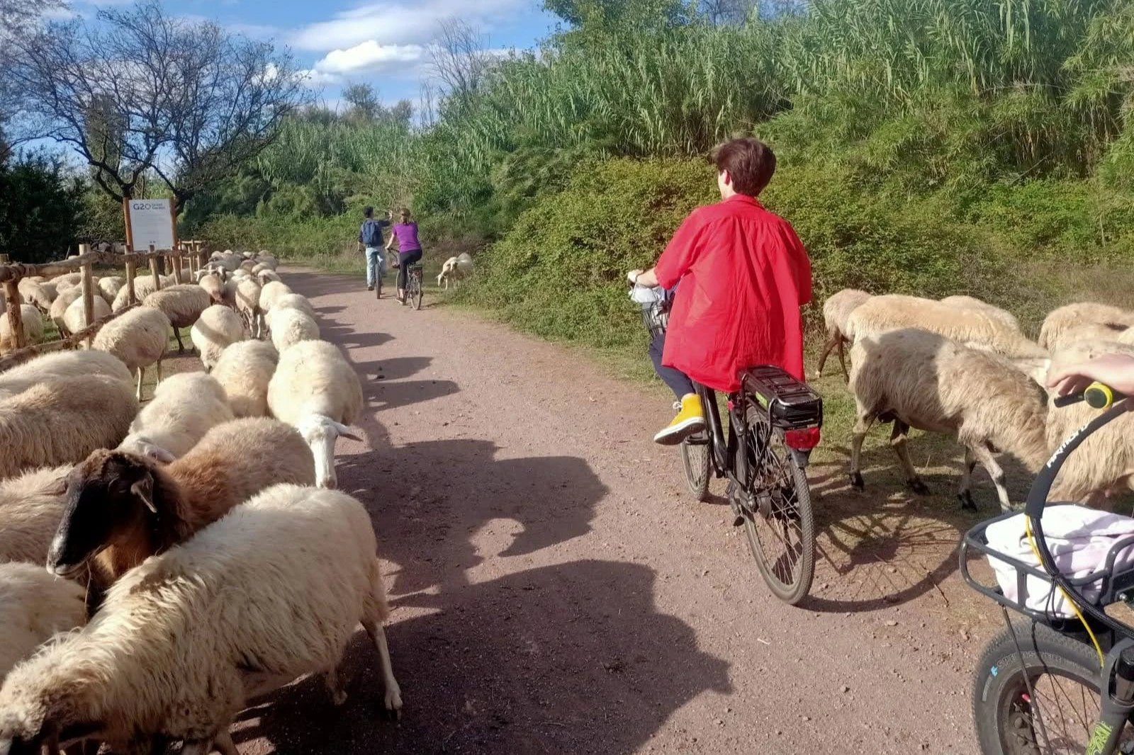 Appia Antica, Aqueducts & Catacombs Rome: E-Bike Tour