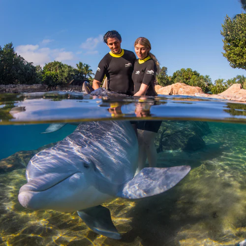 Discovery Cove: Entry Ticket - Photo 11