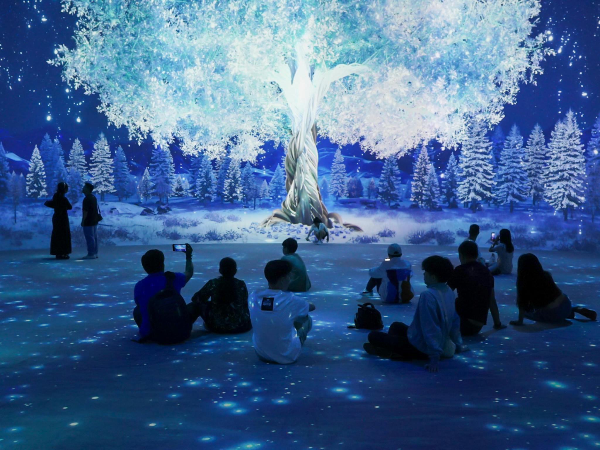 在一个黑暗的房间里，人们坐在地板上，墙上挂着发光的树木和白雪皑皑的森林场景。