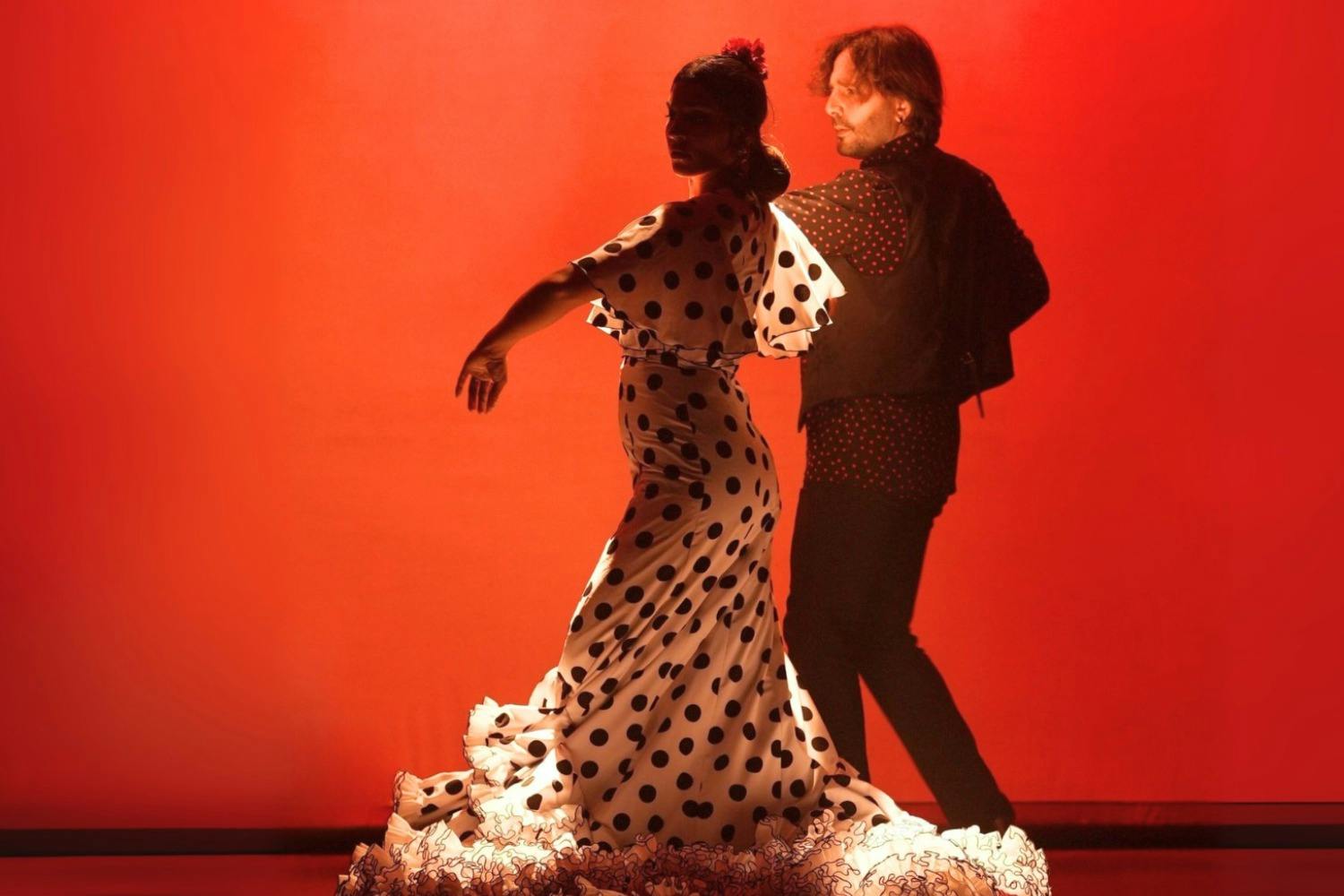 Barcelona City Hall Theater: Flamenco Show - Photo 8
