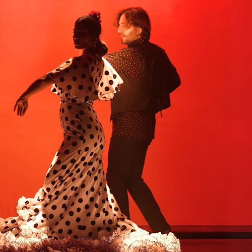 Barcelona City Hall Theater: Flamenco Show - Photo 8