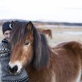 IJslands paard