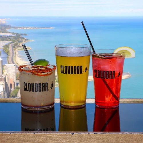 360 CHICAGO: Sip and View - Photo 3