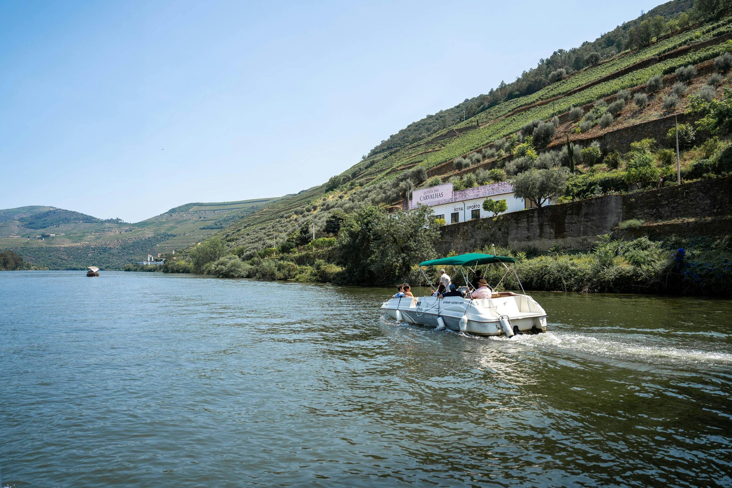 Douro Premium