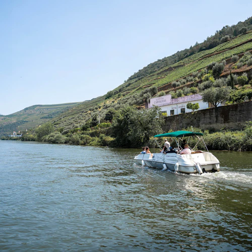 Douro Valley: Small Group Wine Tour from Porto - Photo 5