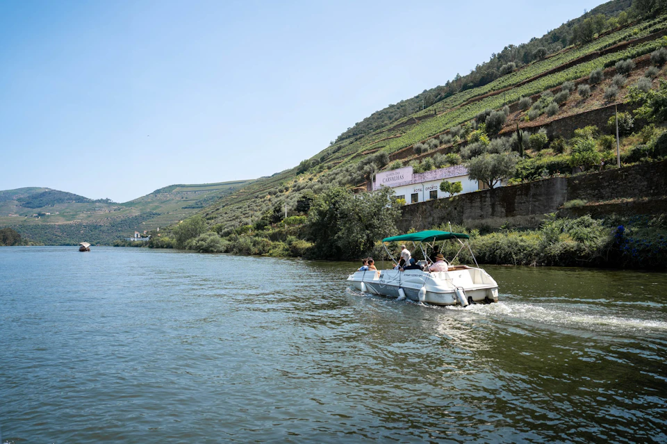 Douro Premium