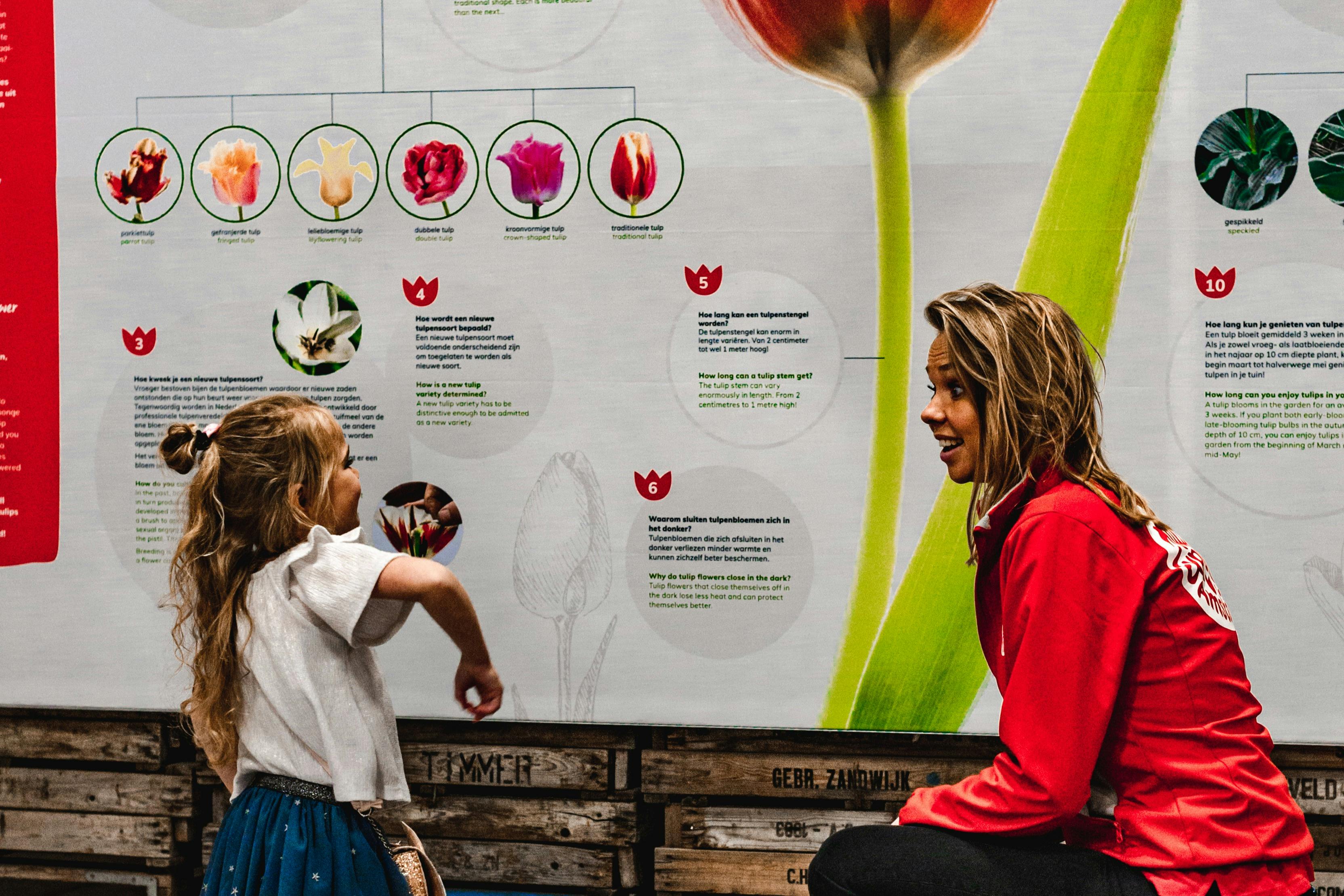 Tulip Experience Amsterdam