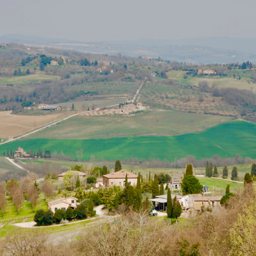 Tuscan Countryside: Day Trip from Rome with Lunch - Photo 15