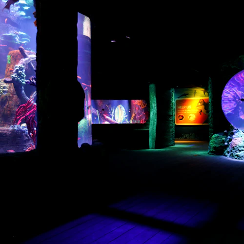SEA LIFE Michigan: Entry Ticket