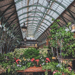Tours & Sightseeing | Covent Garden things to do in London
