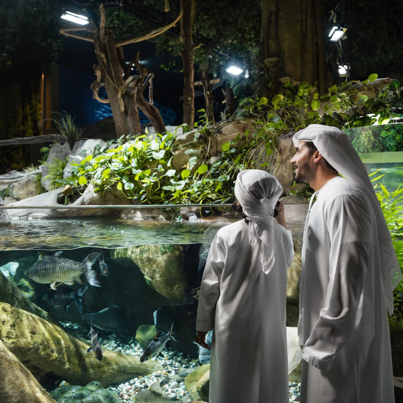 Dubai Aquarium & Underwater Zoo: Entry Ticket in Dubai β Tiqets